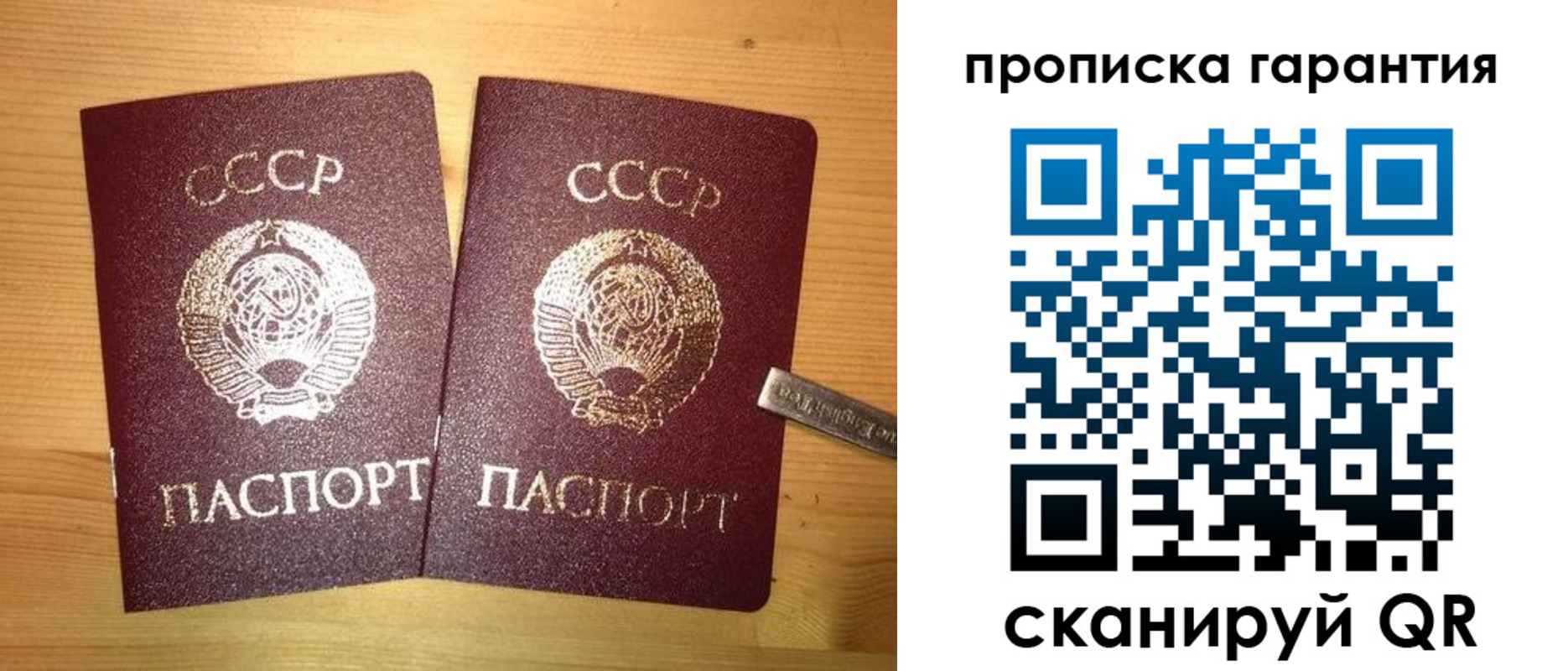 прописка поиск в Муроме